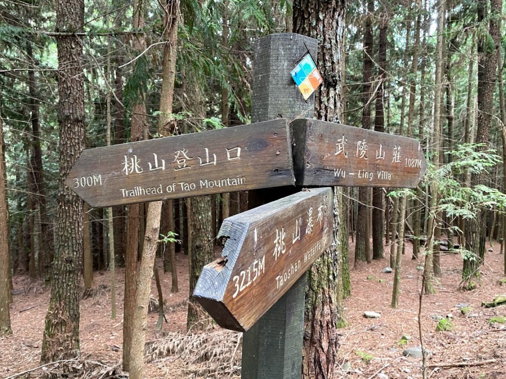 1090815_宸宸桃山瀑布、池有山步道_1104058