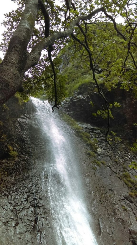 陽明山國家公園最大的瀑布「阿里磅瀑布」_406742