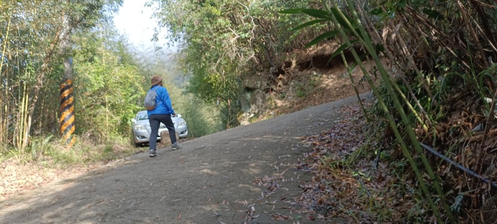 20240228_那羅山步道_2441038