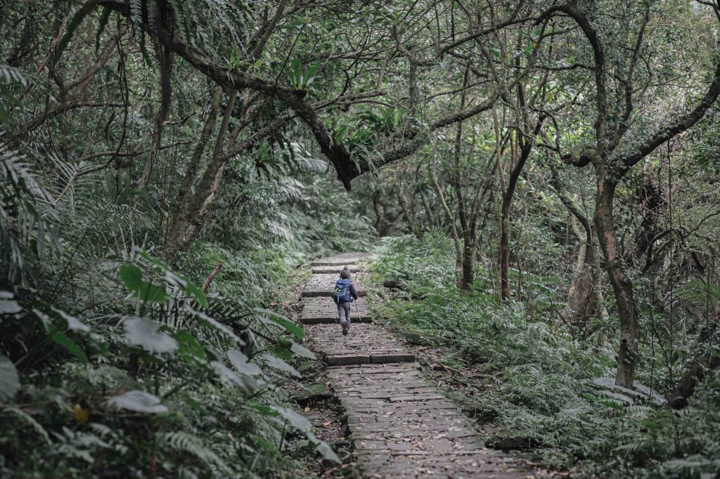 淡蘭草嶺古道（福隆車站-陸軍路-粉倌客棧-埡口-大里車站）_1990657