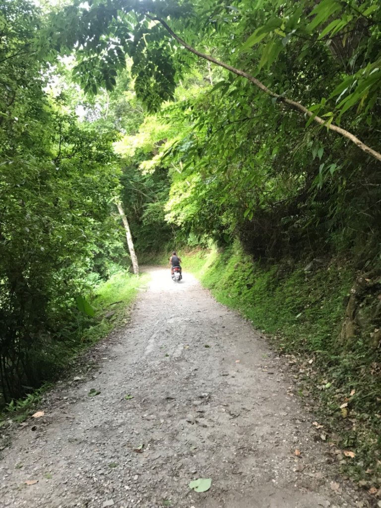 瓦拉米步道。蕨美的奇幻旅程_1483909