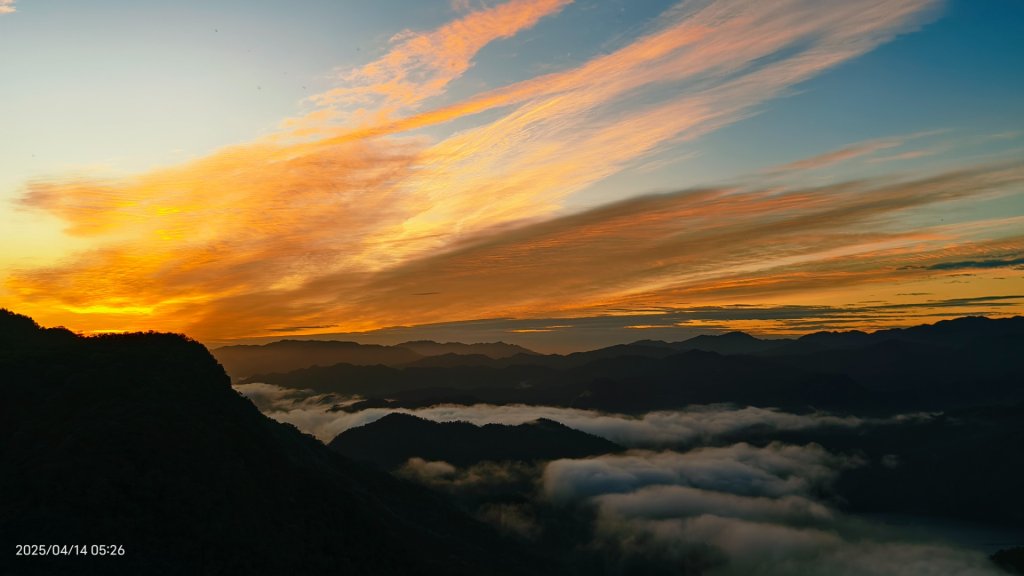 #翡翠水庫壩頂 #日出雲海 #火燒雲 #霞光 #月圓 #松月櫻 #鱷魚島雲海 4/14 & 16封面圖