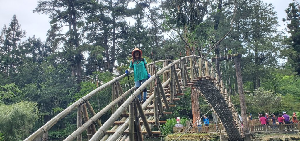 2024-05-19溪頭自然教育園區_2507982