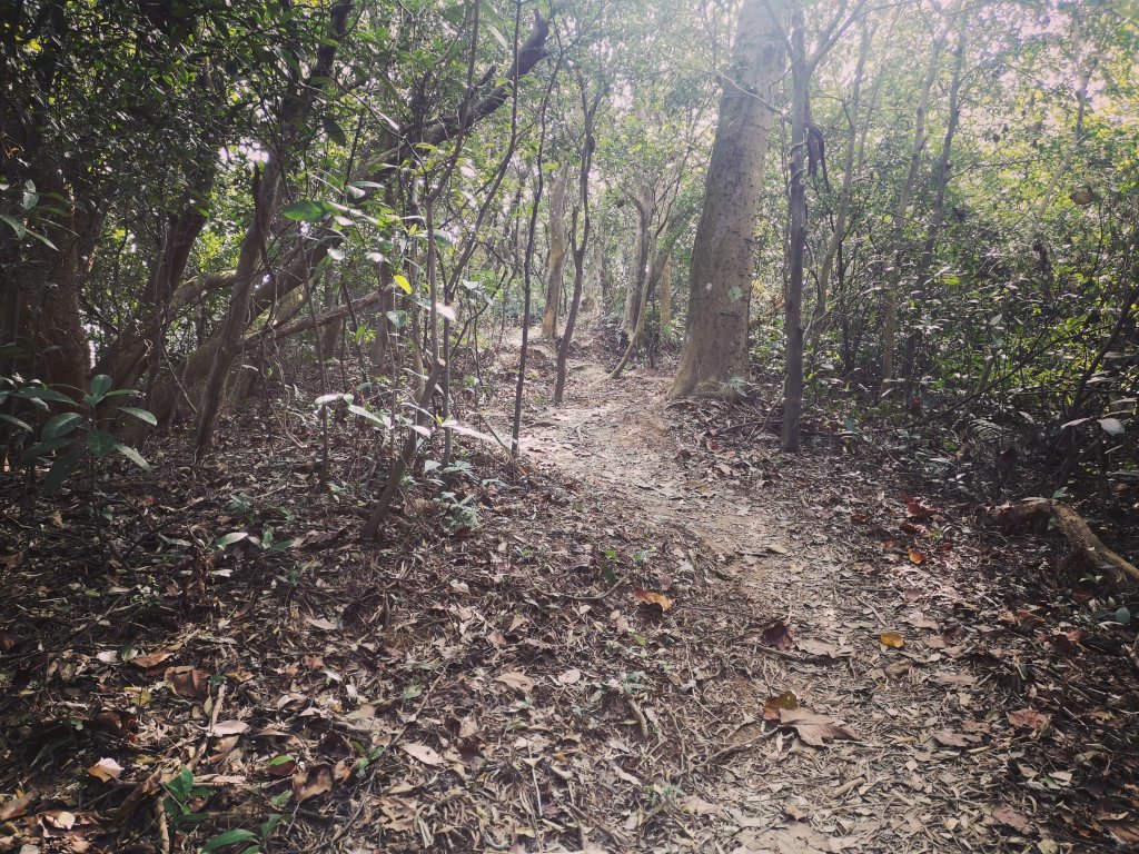 我從福人步道走去大北坑吃好料_818613