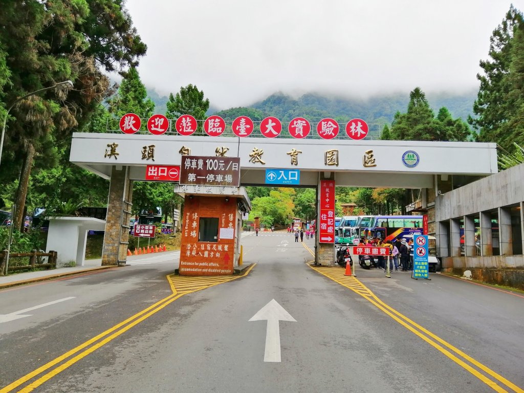 森林綠意滿滿芬多精。 溪頭森林遊樂區_770564