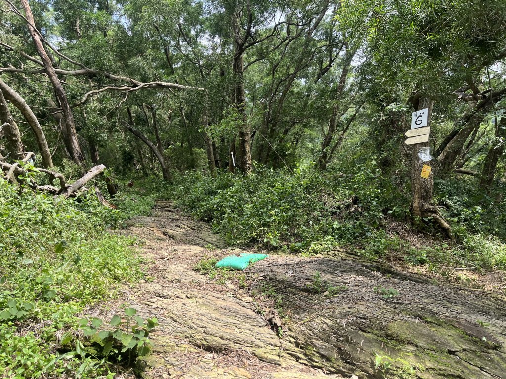 [屏步青雲 尋寶任務-06/10] 2024_1005 笠頂山步道_2616715