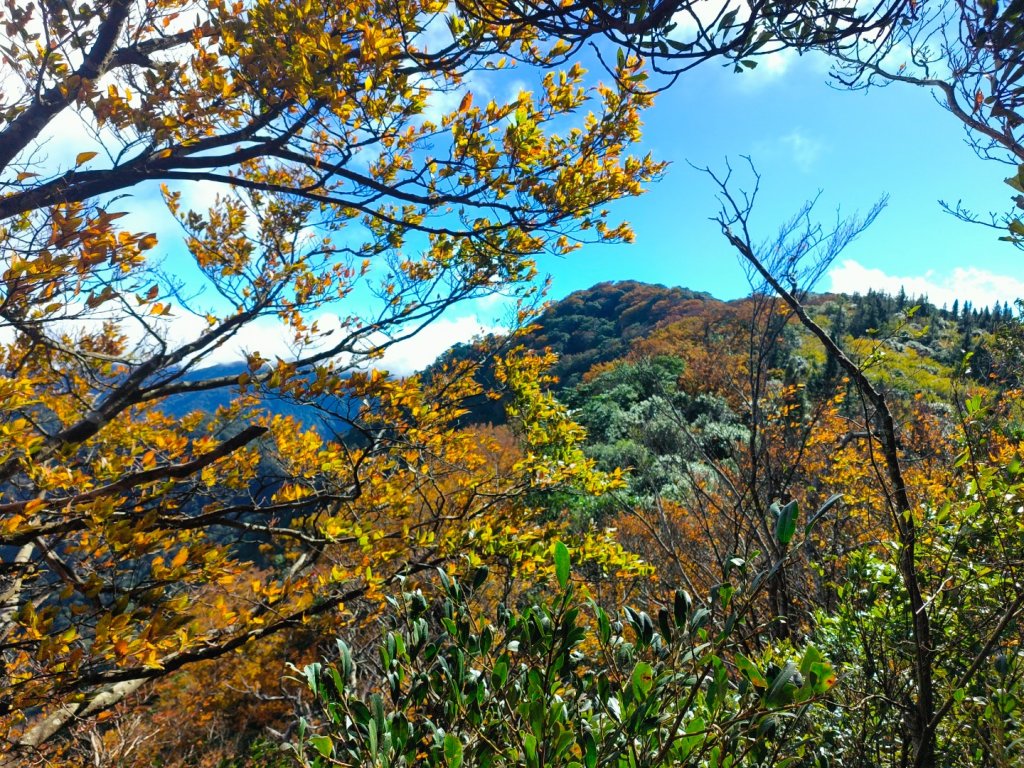 1121125 鳥嘴山縱走貴妃山_2363975