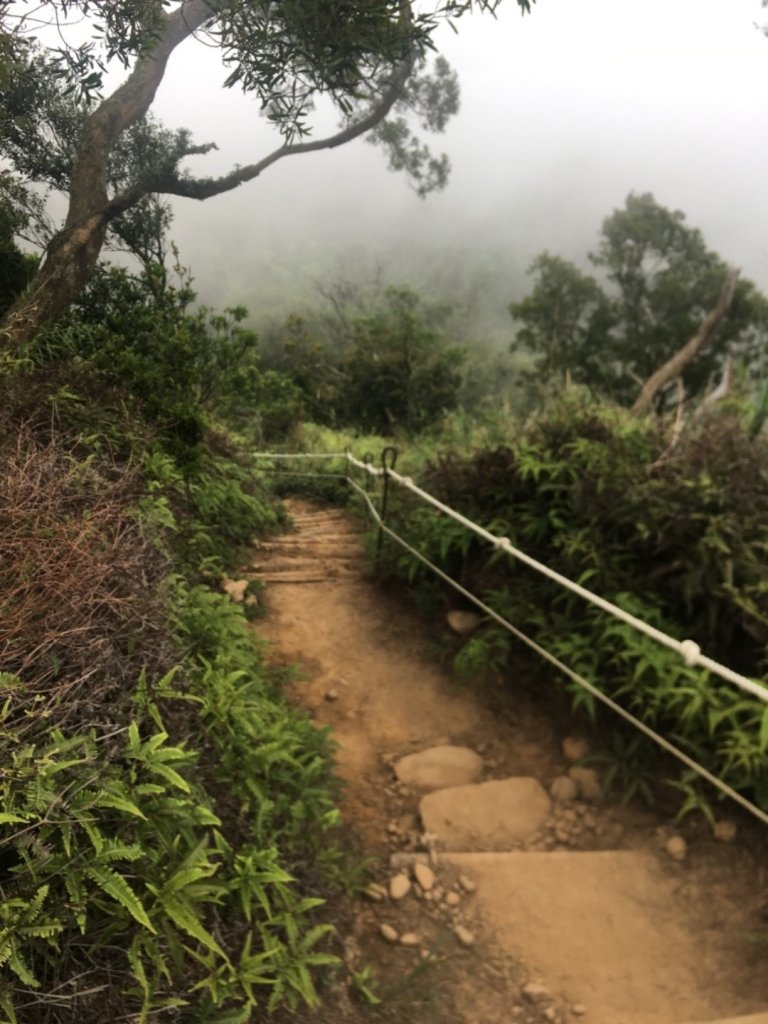 2020.3.27火炎山登山步道完走_905146
