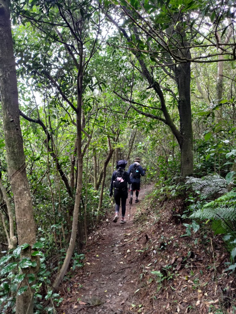 臺北大縱走第4段(風櫃嘴→捷運大湖公園站)_2349882