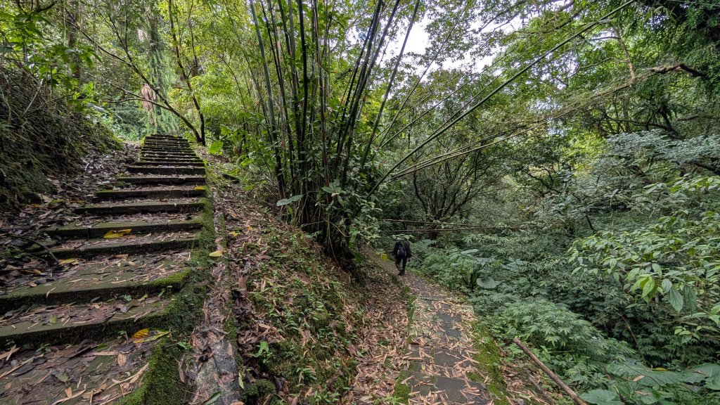 114.11.15平溪小黃山段-望古瀑布段之旅_2937800