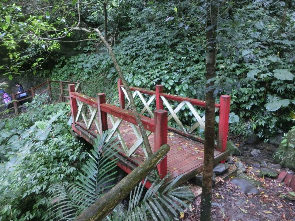 馬武督森林_566537