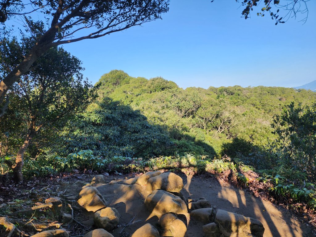 20240114指南宮站經猴山岳二格山鵝角格山至貓空站_2430789