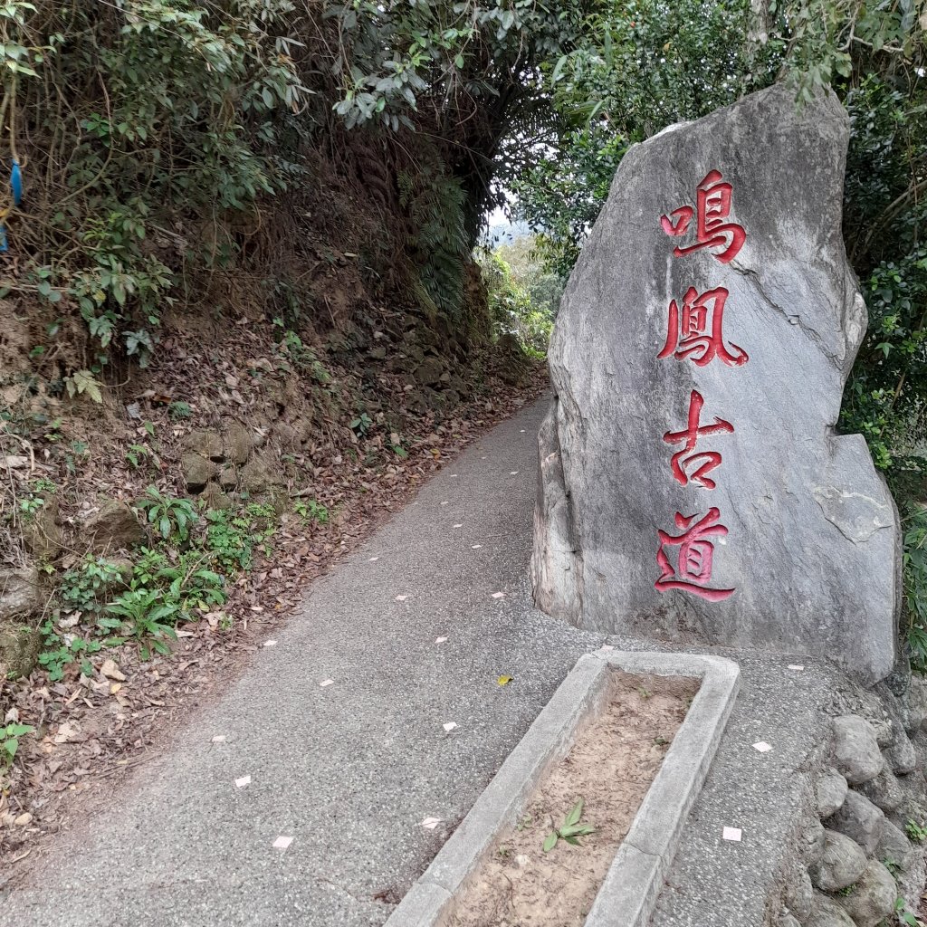 鳴鳳古道封面圖