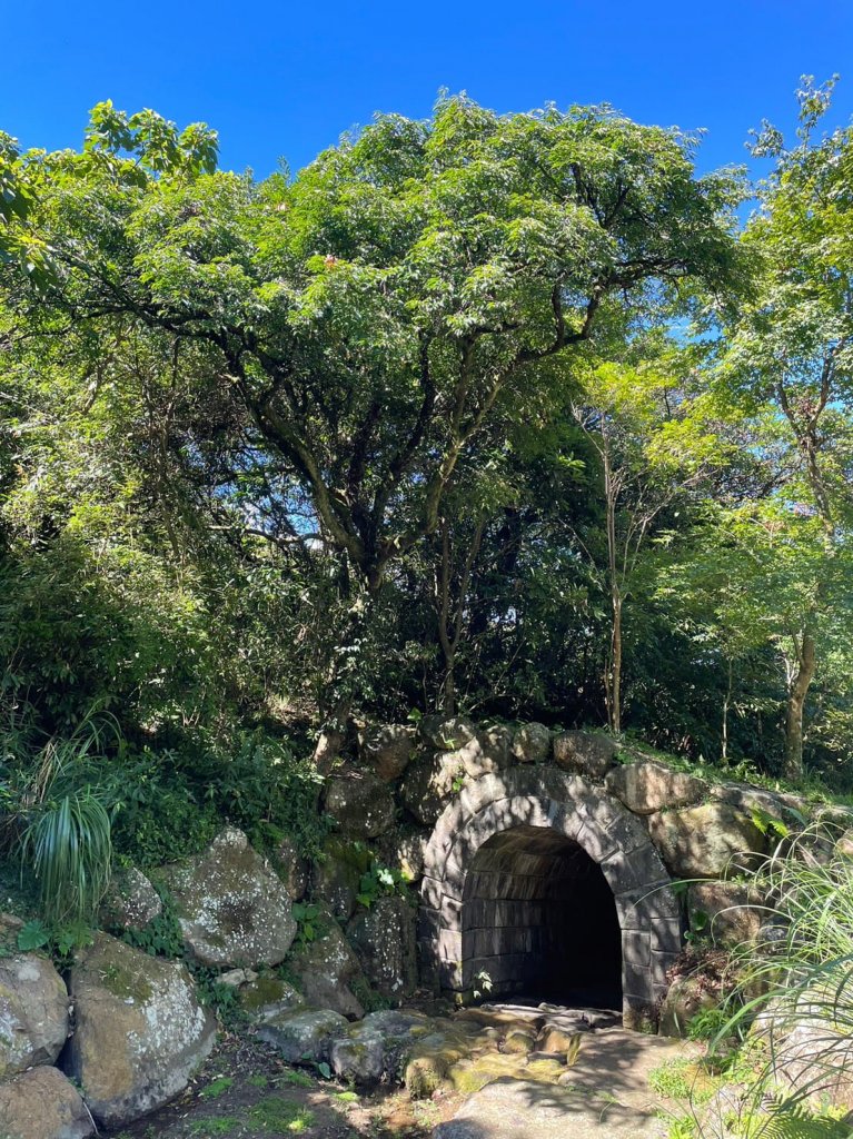 230716-小百岳#001大屯山。美美兔感謝「泰利」外圍環流，許了大屯主峰一個艷陽颱風天，景緻絕美_2222782