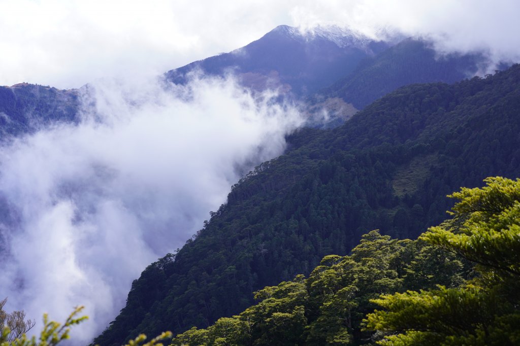 池有山 桃山_1370631