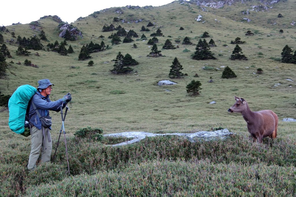 奇萊東稜 20241019-1025_2641784