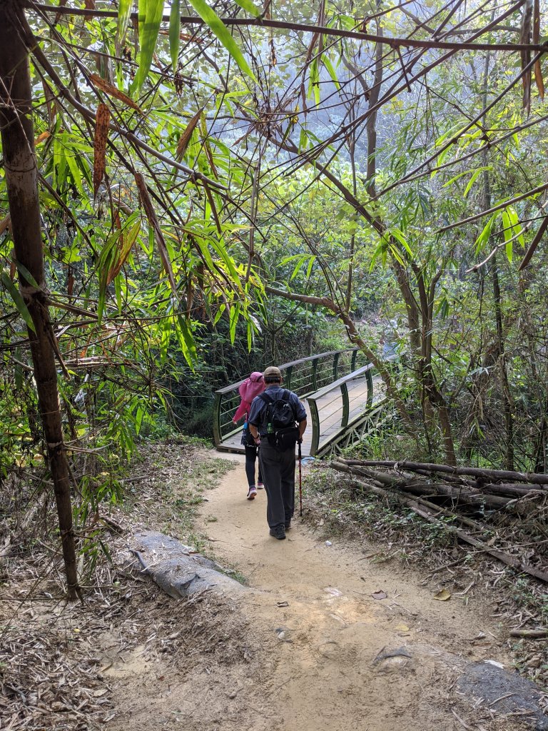 【高雄-小百岳】觀音山_稜線連峰O型縱走_796534