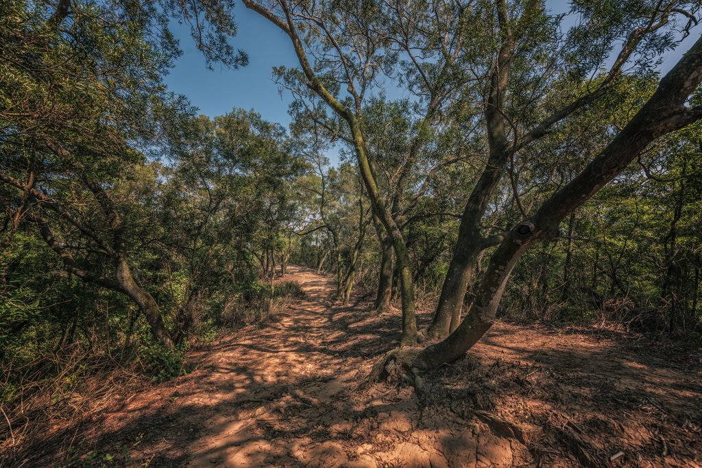 鄭漢步道-20211016_1526770