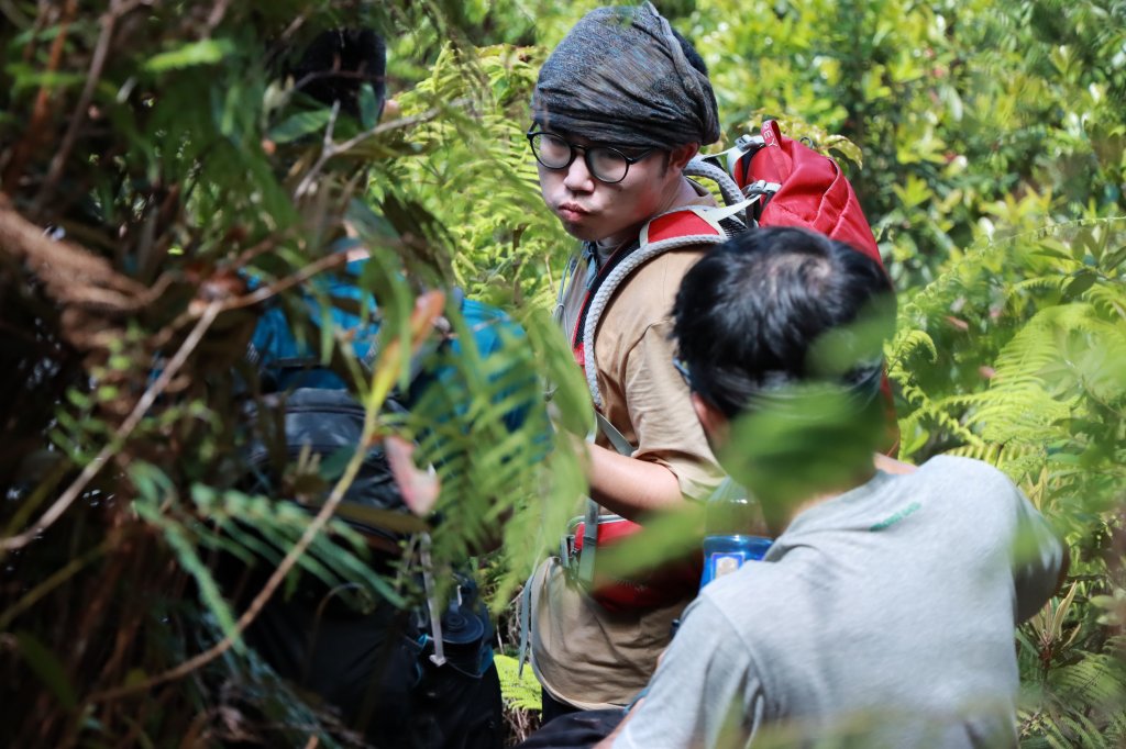 水社大山封面圖