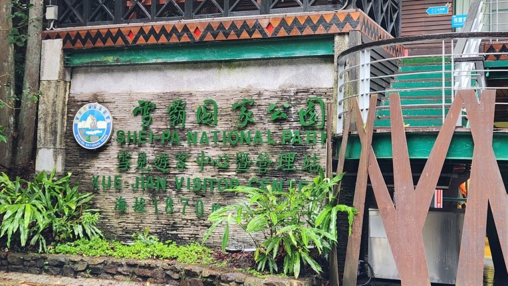 【中級山縱走】觀雪縱走（雪見大板根，仰天神木，北坑山，司馬限林道）_2741221