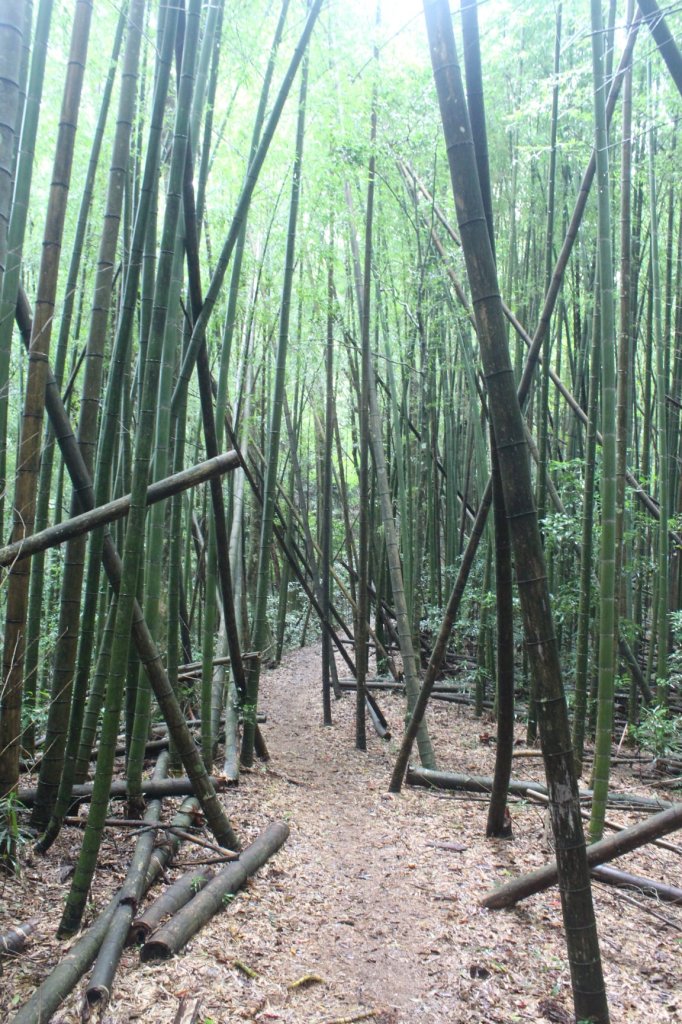 20211113嘉義石壁山-好望角-嘉南雲峰_1517195