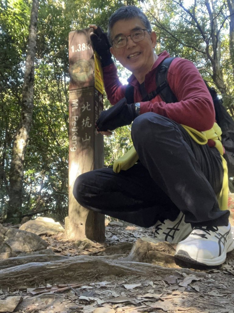 雪見大板根_2959278