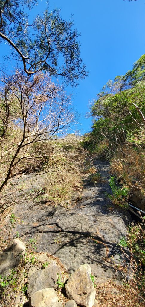 2023-01-27里龍山自然步道_2011067