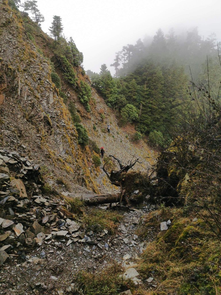 2022.12.15_20干卓萬橫斷_2012581