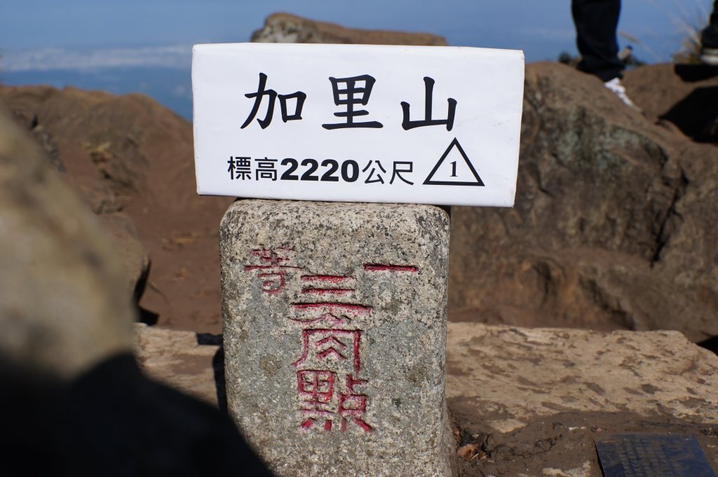 苗栗 南庄 加里山封面圖