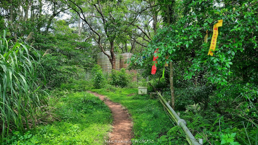 《苗栗》桐花茶園｜四月雪小徑登慈濟山三義山20250427_2771327