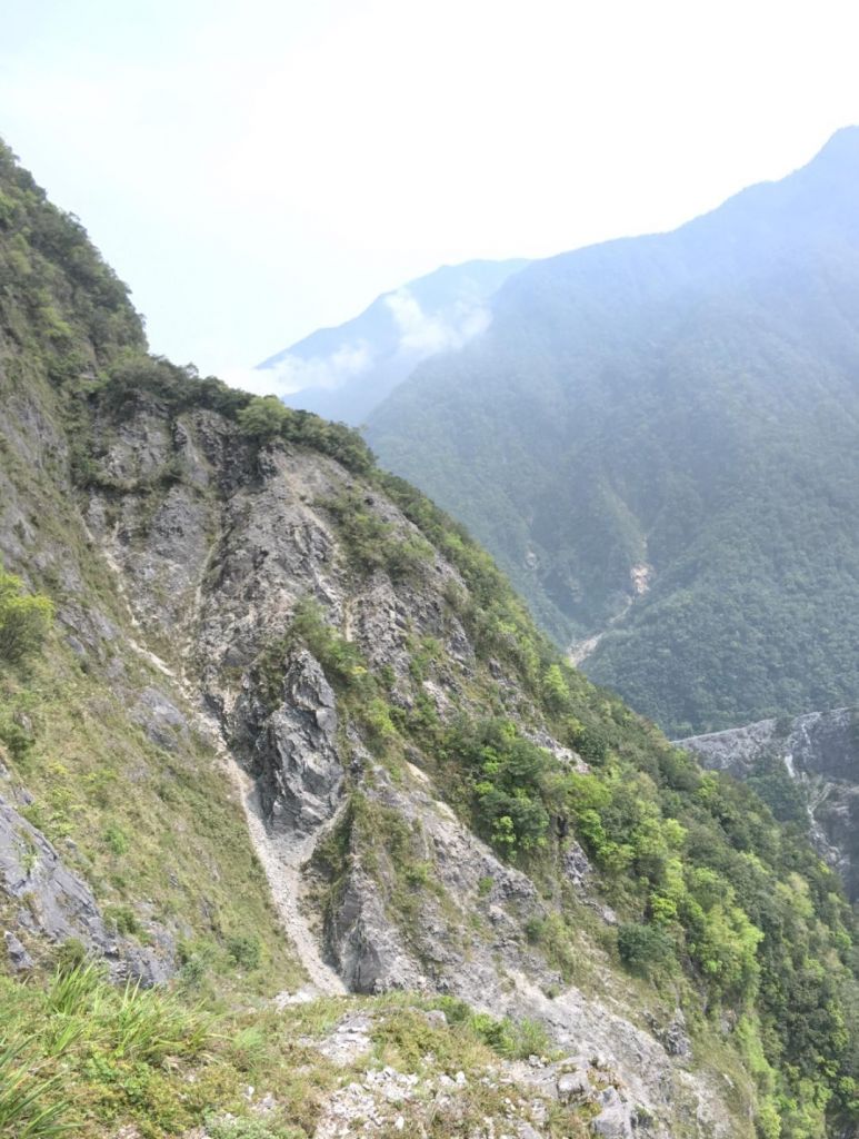 花蓮-錐麓古道至斷崖駐在所折返_294281