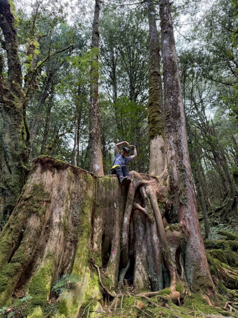 🌈11/15（六）松鶴上八仙山下森林遊樂區✨FB：熊熊趴爬走🌈_2937681