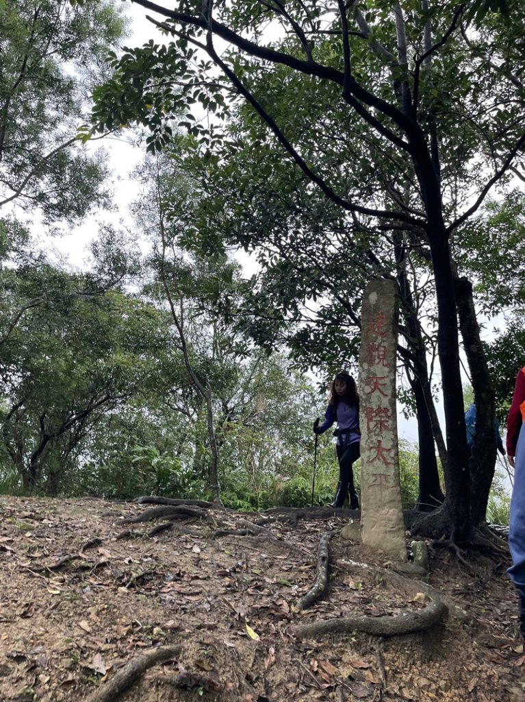 龍虎縱走_2945586