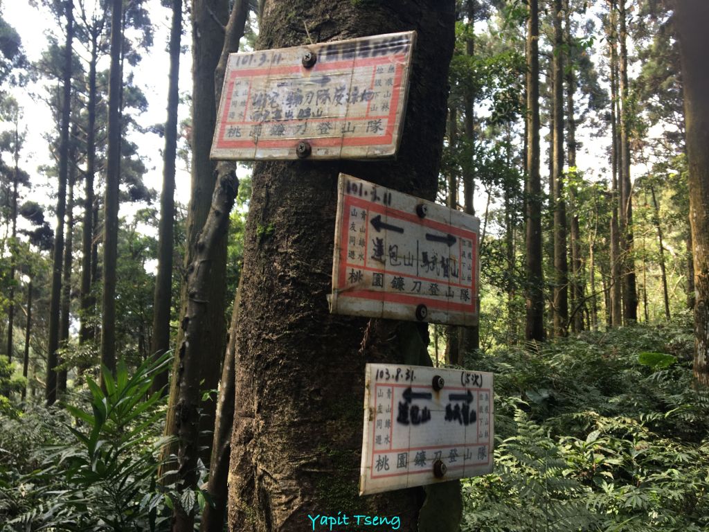 馬武督山 蓮包山 外鳥嘴山 那是山_289085