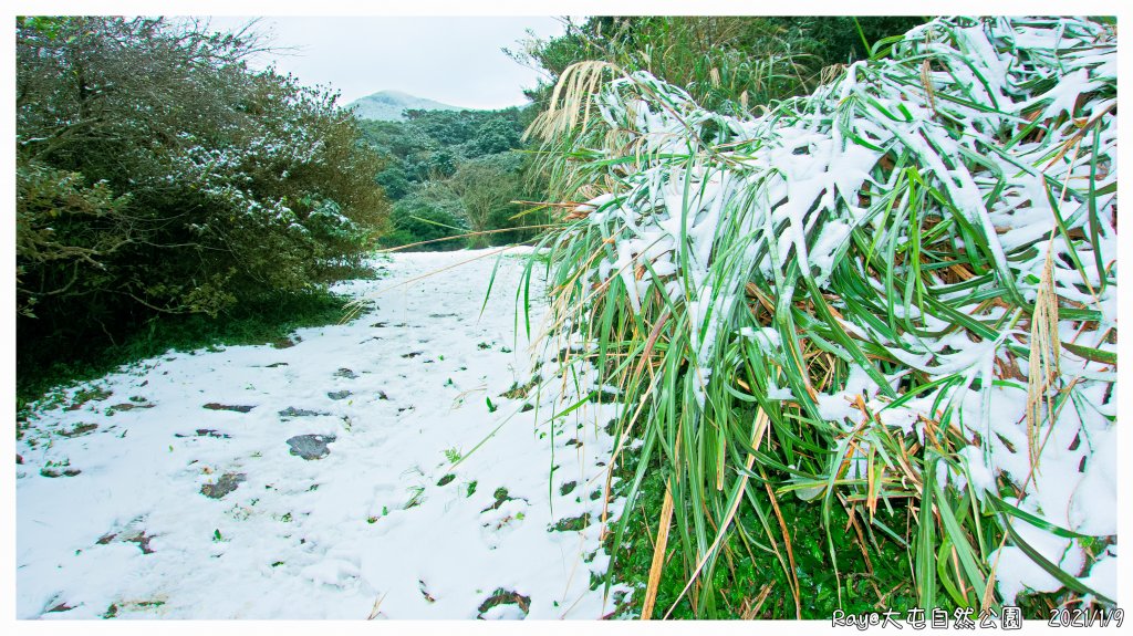 2021 大屯山之雪_1234706