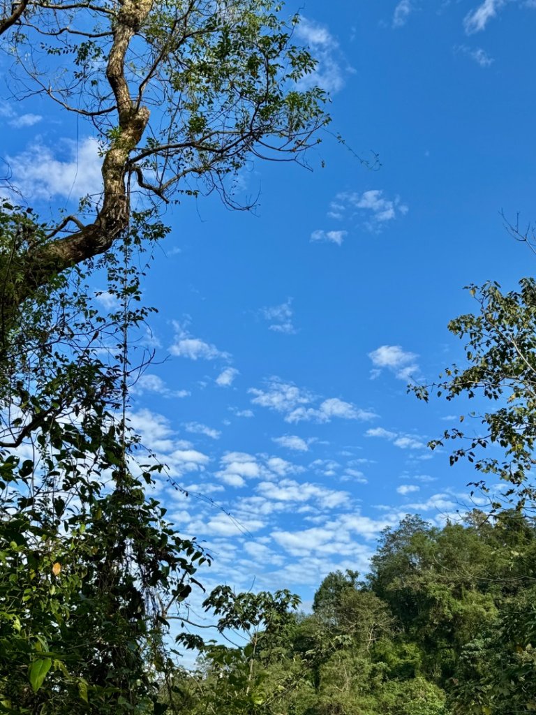 生態環境豐富的仁山植物園 感受鑑湖秋月-梅花湖的魅力_2953842