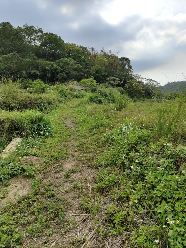 2024.03.24 飛鳳古道_2908472