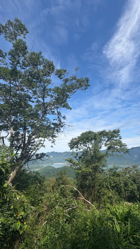 三腳南山_2799529