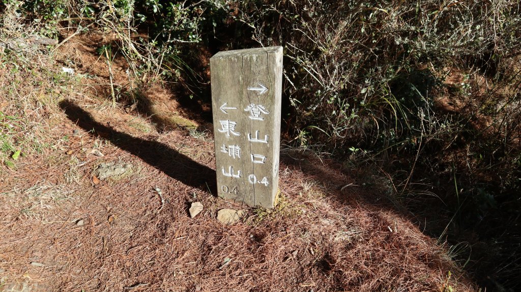 東埔山登山健行趣(中級山)_2031803