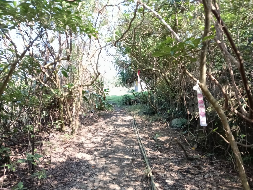 貢寮區新厝山+澳底尖(火炎山)+美艷山+金沙灣_2989733