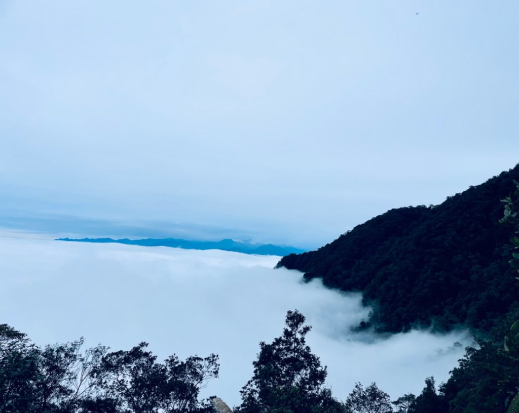 水社大山_2690417