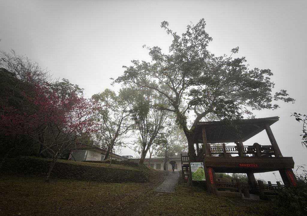 佐倉步道_2704768