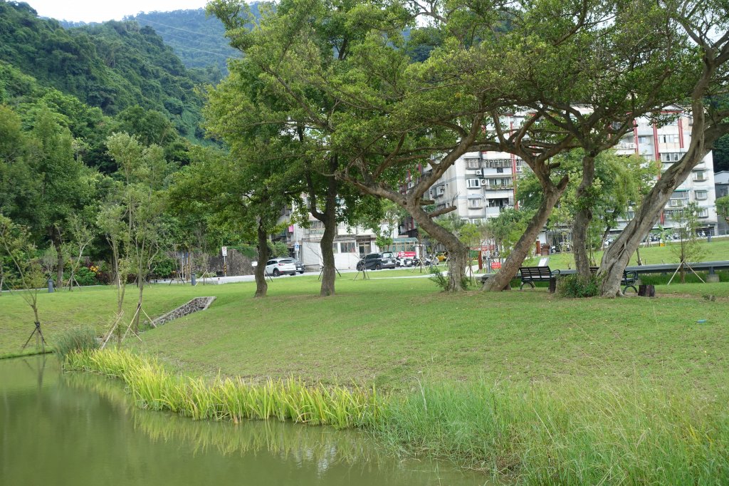 永春陂濕地公園_1105518