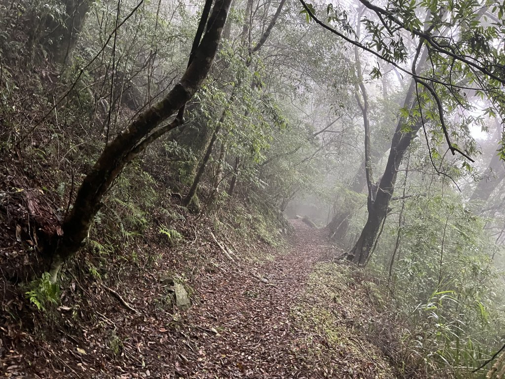 [玉山尋寶任務-02/12] 2025_0727 中之關、天池步道/南橫公路_2847689