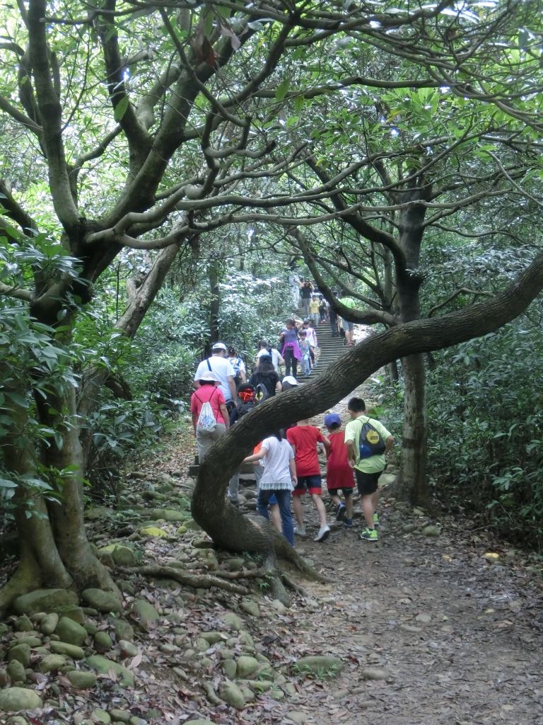 羊稠步道_352459