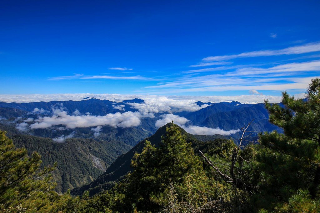2018.11.24 中橫小辣羊頭山_465105