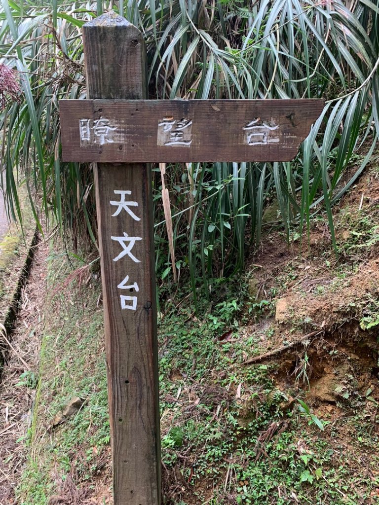 溪頭_581022