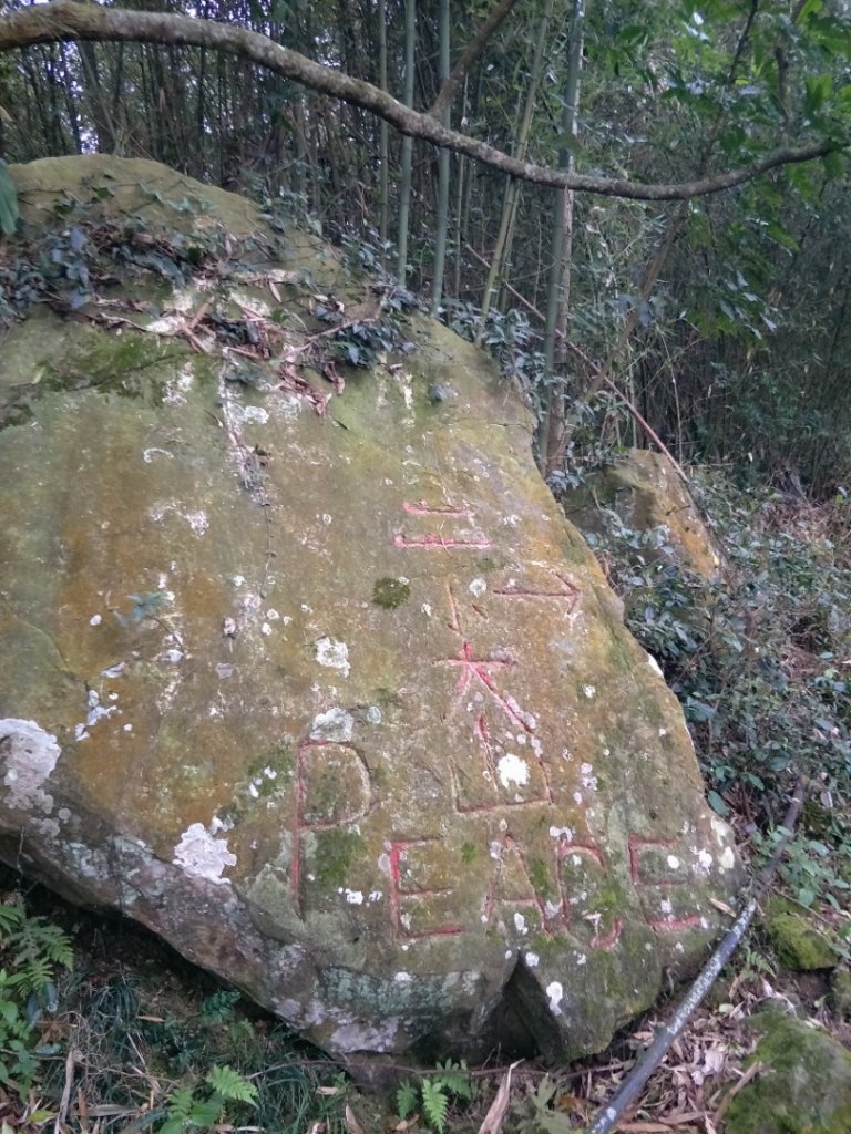 雲嘉七連峰_1560678