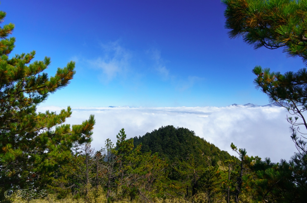 【步道小旅行】郡大山_2066