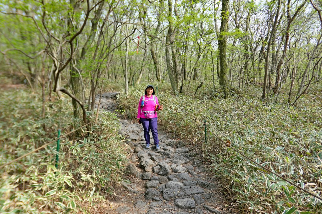 攀登南韓最高峰漢拏山 2019/4/22_574334